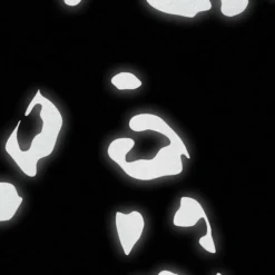 Stickers Réfléchissants Léopard - Bookman -Vêtements Soldes Magasin stickers reflechissants leopard bookman 3